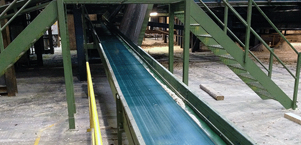 This image displays one of our conveyor systems.